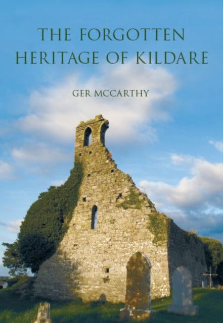 The Forgotten Heritage of Kildare