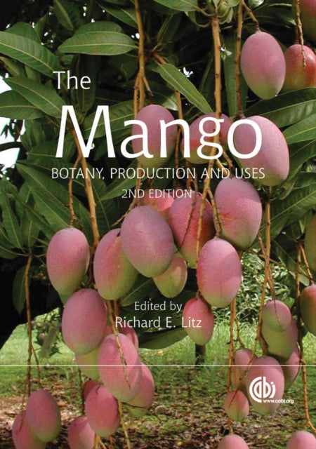 Mango: Botany, Production and Uses