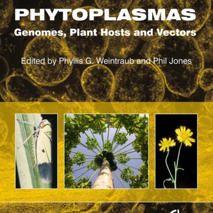 Phytoplasmas: Genomes, Plant Hosts and Vectors