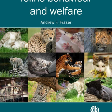 Feline Behaviour and Welfare