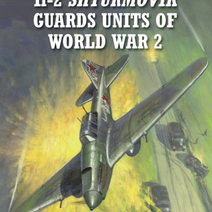 Il2 Shturmovik Guards Units of World War 2 No 71