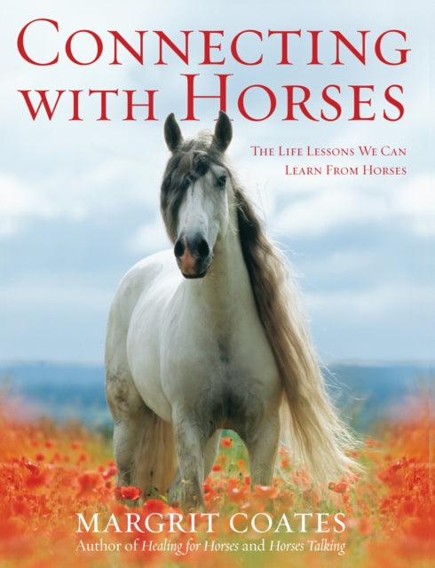 Connecting with Horses: The Life Lessons We Can