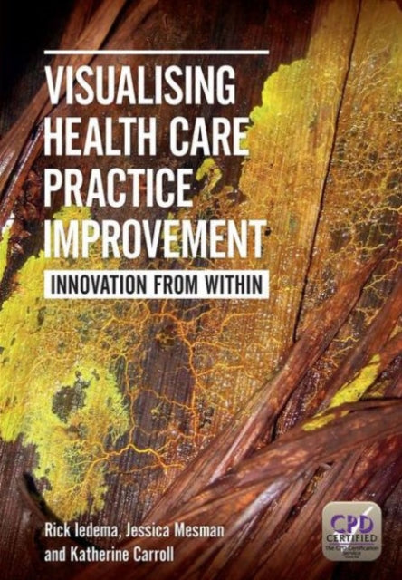 Visualising Health Care Practice Improvement: Innovation from Within