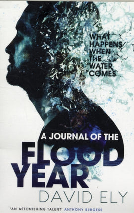 A Journal Of The Flood Year