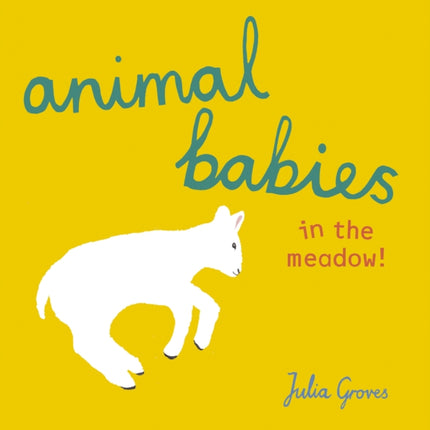 Animal Babies in the meadow!