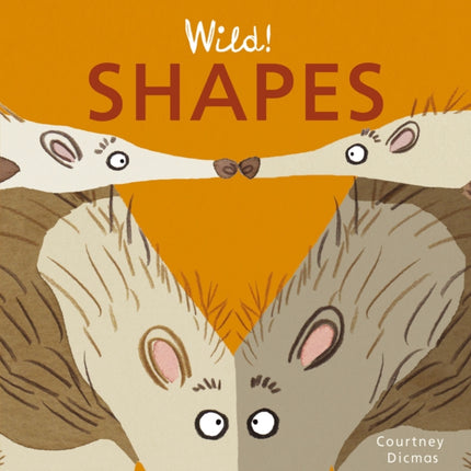 Shapes