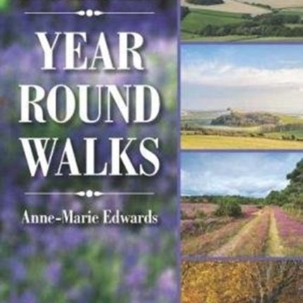 Dorset Year Round Walks