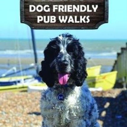 Kent Dog Friendly Pub Walks: 20 Dog Walks: 2019