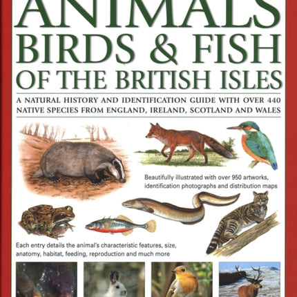 The Animals, Birds & Fish of British Isles, Complete Illustrated Guide to: A natural history and identification guide with over 440 native species from England, Ireland, Scotland and Wales, beautifully illustrated with over 950 artworks