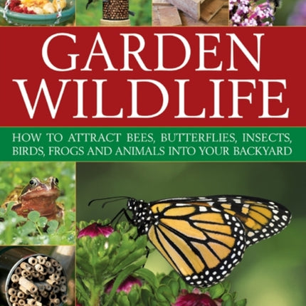 Garden Wildlife How to Attract Bees Butterflies