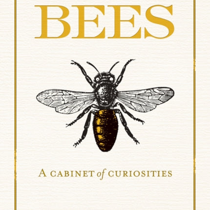 In Praise of Bees A Cabinet of Curiosities