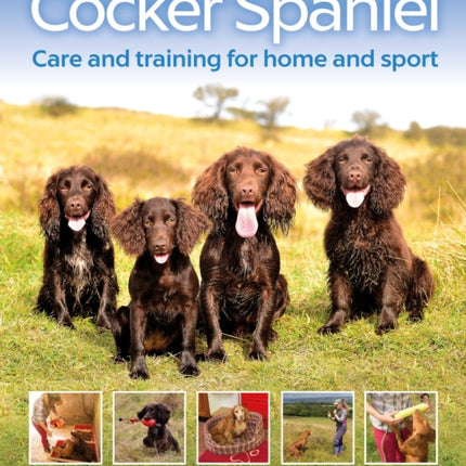 The Cocker Spaniel: Care and Training for Home and Sport