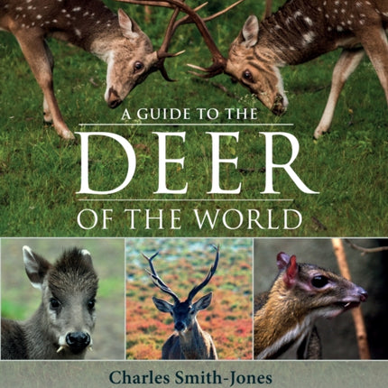 A Guide to the Deer of the World