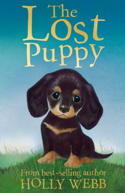 The Lost Puppy