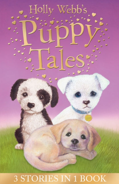 Holly Webb's Puppy Tales: Alfie all Alone, Sam the Stolen Puppy, Max the Missing Puppy