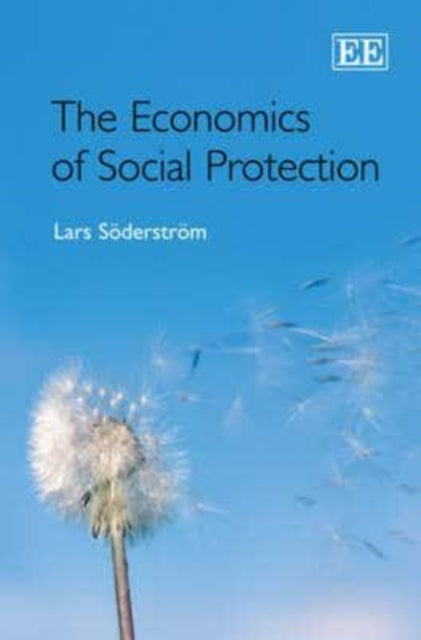 The Economics of Social Protection