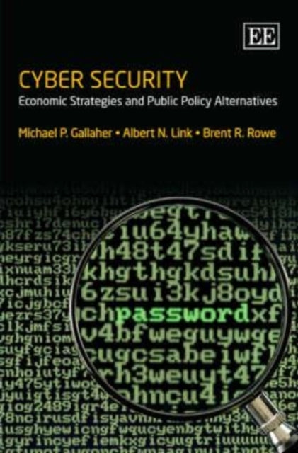 Cyber Security: Economic Strategies and Public Policy Alternatives