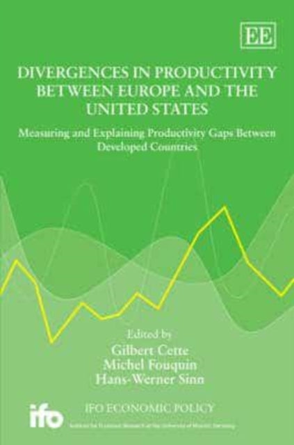 Divergences in Productivity Between Europe and the United States: Measuring and Explaining Productivity Gaps Between Developed Countries