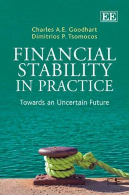 Financial Stability in Practice: Towards an Uncertain Future