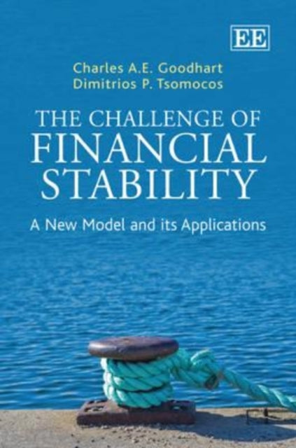 The Challenge of Financial Stability: A New Model and its Applications