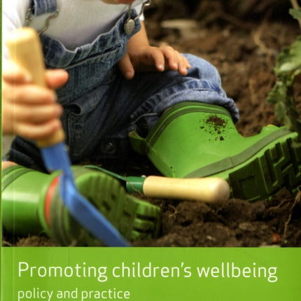 Promoting children's wellbeing: Policy and practice