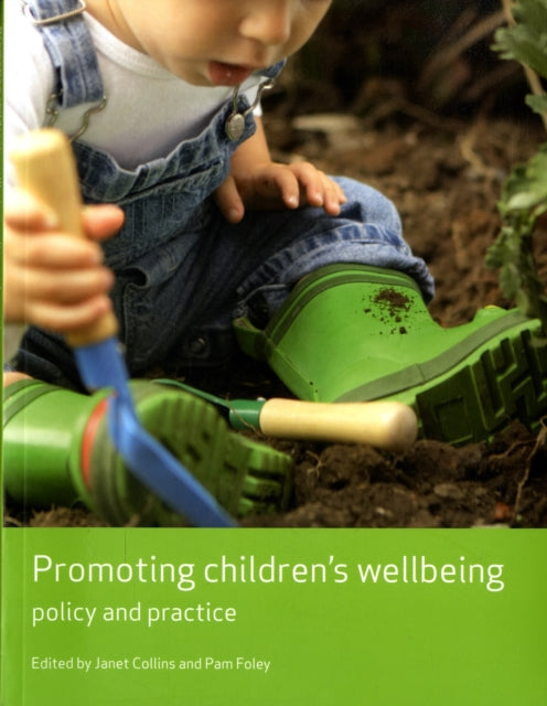 Promoting children's wellbeing: Policy and practice