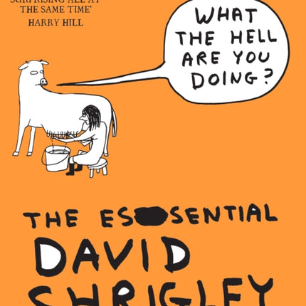 What The Hell Are You Doing?: The Essential David Shrigley