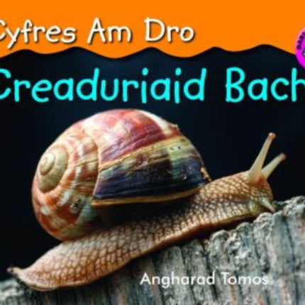 Cyfres am Dro: 4. Creaduriaid Bach