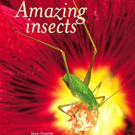 Amazing Insects