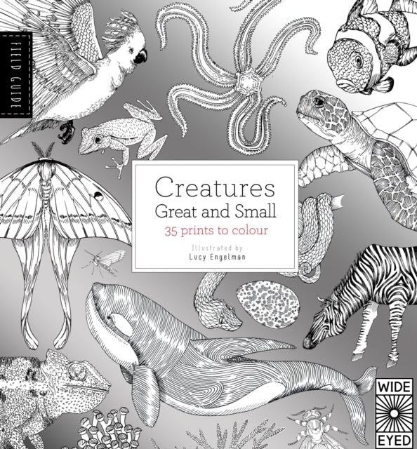 Field Guide Creatures Great and Small Field
