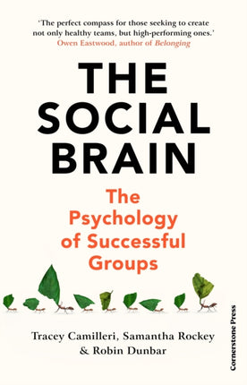 The Social Brain: The Psychology of Successful Groups