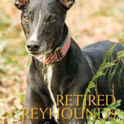 Retired Greyhounds: A Guide to Care and Understanding