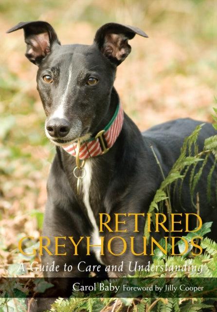 Retired Greyhounds: A Guide to Care and Understanding