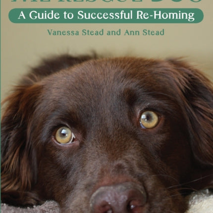 The Rescue Dog: A Guide to Successful Re-homing