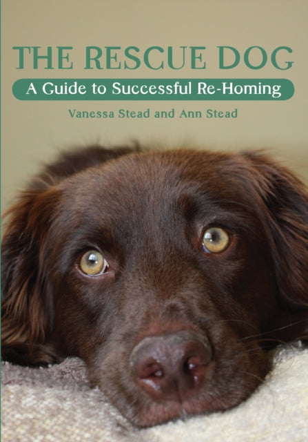 The Rescue Dog: A Guide to Successful Re-homing