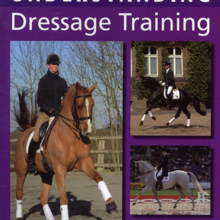 Understanding Dressage Training