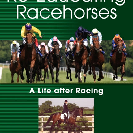 Re-Educating Racehorses: A Life after Racing