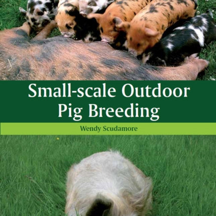 Small-scale Outdoor Pig Breeding