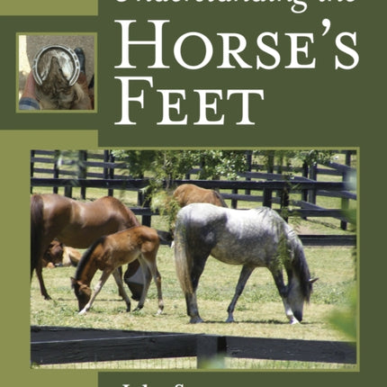 Understanding the Horse's Feet