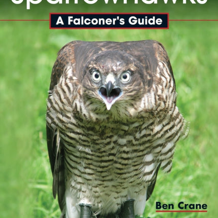 Sparrowhawks: A Falconer's Guide