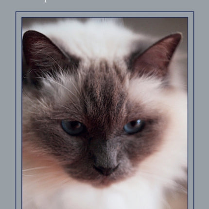 The Holistic Cat: A Complete Guide to Natural Health Care