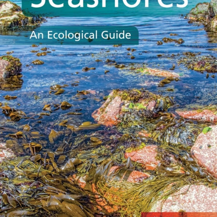 Seashores: An Ecological Guide