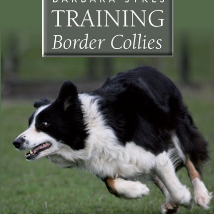 Barbara Sykes' Training Border Collies