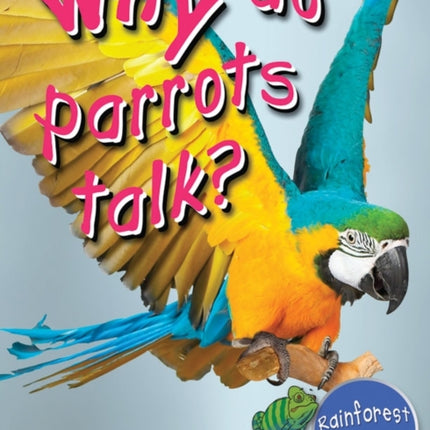 Rainforest Life Why Do Parrots Talk First