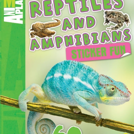 Sticker Fun Reptiles and Amphibians