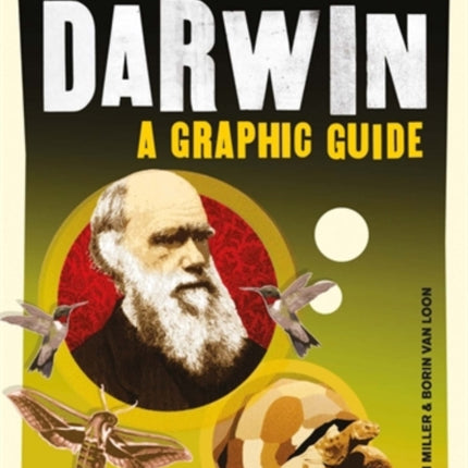 Introducing Darwin: A Graphic Guide