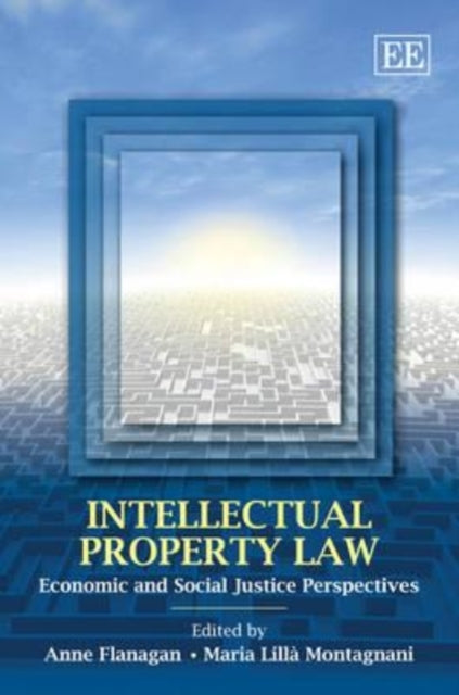 Intellectual Property Law: Economic and Social Justice Perspectives