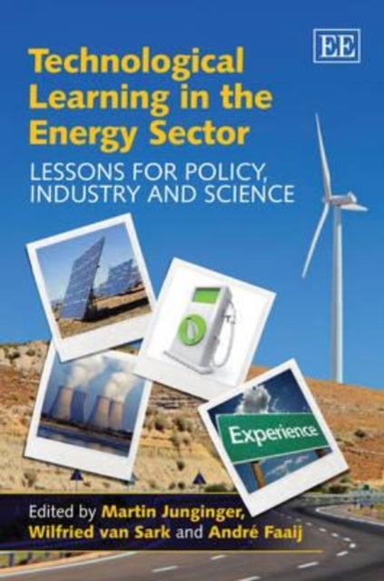 Technological Learning in the Energy Sector: Lessons for Policy, Industry and Science