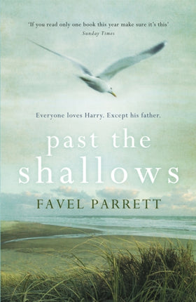 Past the Shallows