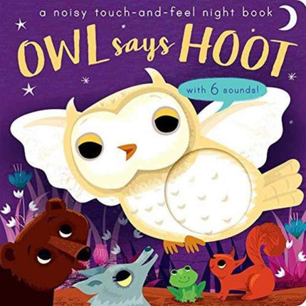 Owl Says Hoot: A noisy touch-and-feel night book